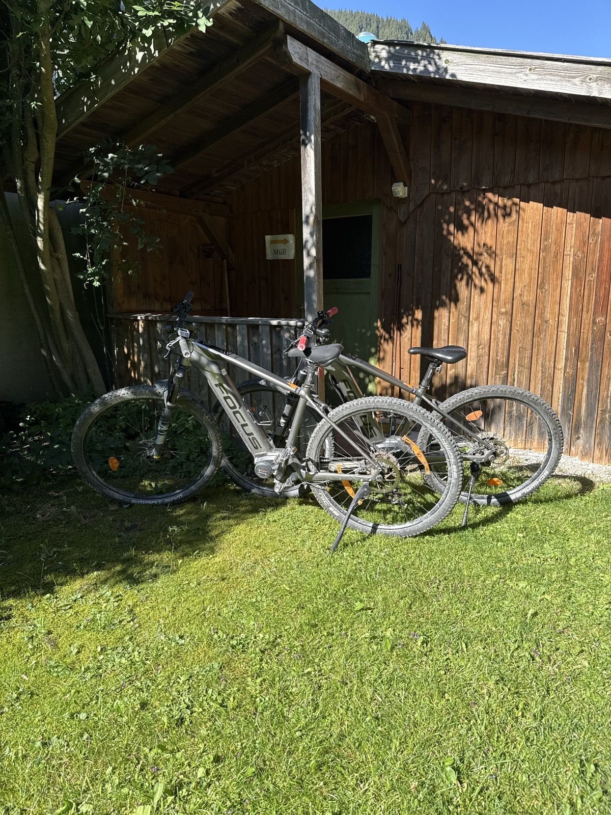 Focus mountain bike